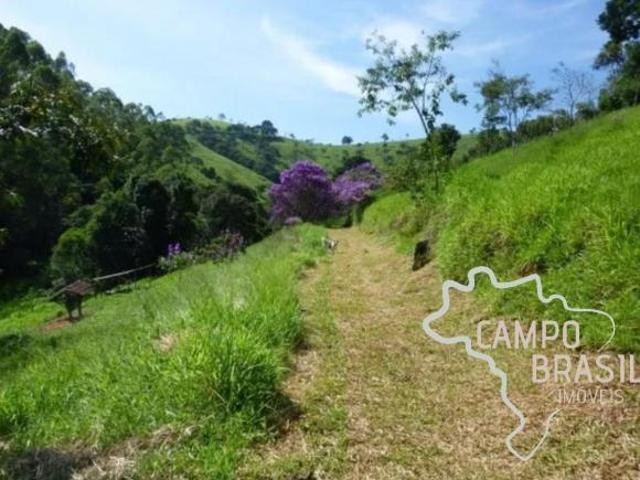 LINDA FAZENDA DE 48 HECTARES EM CUNHA!