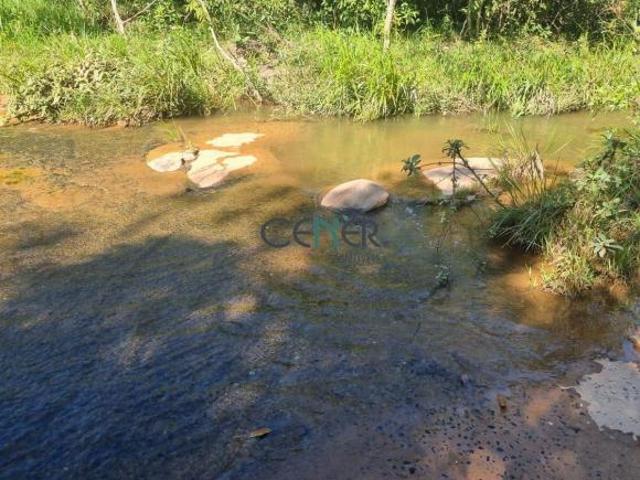 LINDA FAZENDA DE 900 HA BEM ESTRUTURADA EM LINDO LOCAL