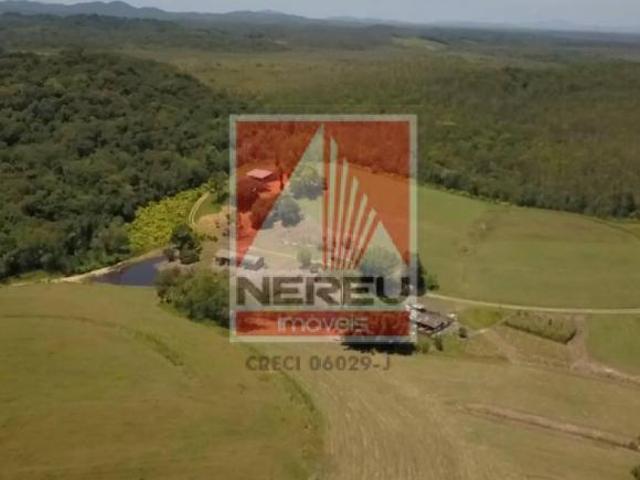 Linda Fazenda Produtiva à Venda – Especializada em Feno | 230 Hectares