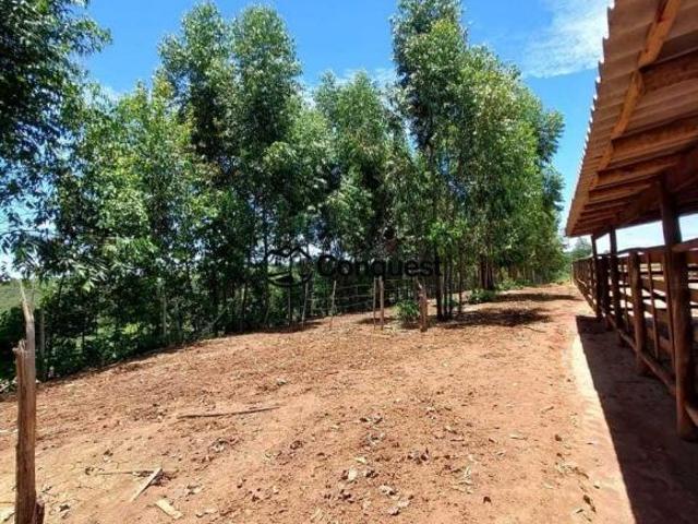 Linda Fazenda 43 hectares Cidade Itaguara Minas Gerais