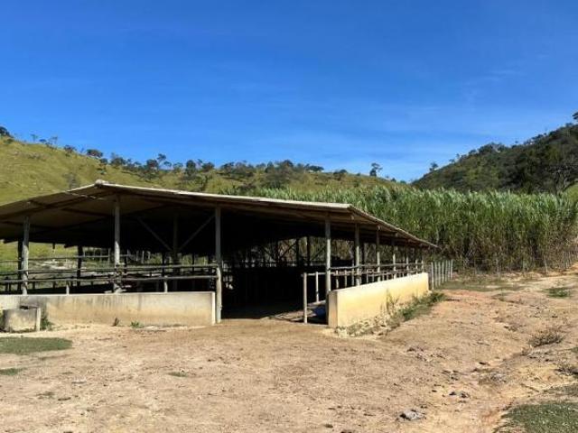 LINDA FAZENDA 54HA RICA EM ÁGUA COM NASCENTES E LAGOAS À VENDA EM CRUCILÂNDIA/MG