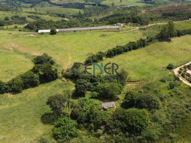 Linda fazendinha de 16,5 ha com lavouras e granja de frango