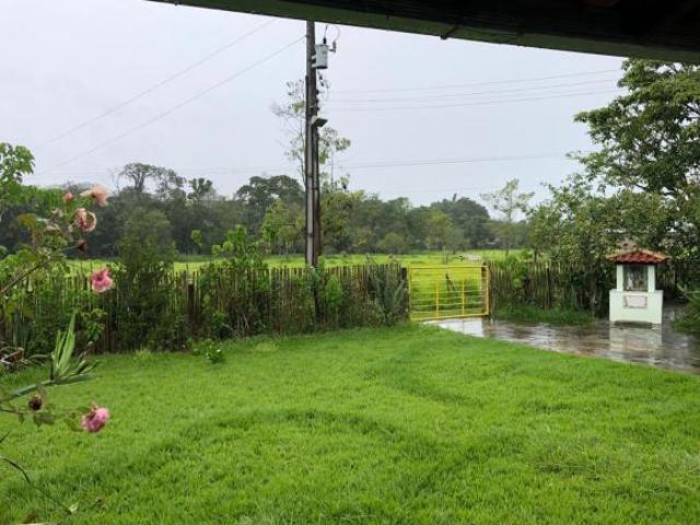 Linda Fazendinha 7,5ha praticamente toda plana, com nascente, lagoa, água corrente e casa ampla em P