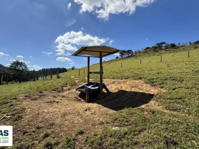 Linda Gleba de Terras no Municipio de Bueno Brandao, Sul de Minas Gerais