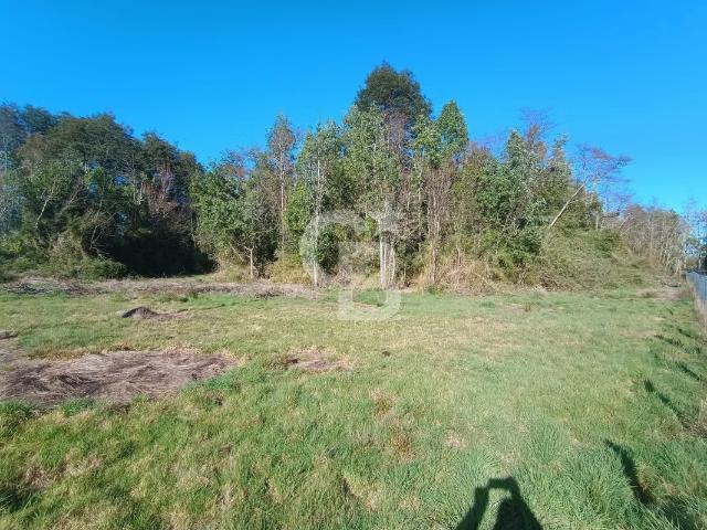 Oportunidad! Excelente Conectividad Ruta 5 | 1 dormitorios por 34000. 00 en Frutillar