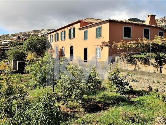 Magnífica Quinta Centenária à Venda: Um Tesouro à Beira do A. 602m² Gaula