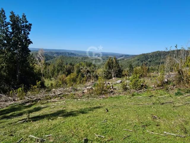 Lindísimo campo de 35 hectáreas al lado del rio Llico | 0 dormitorios por 343000. 00 en Fresia