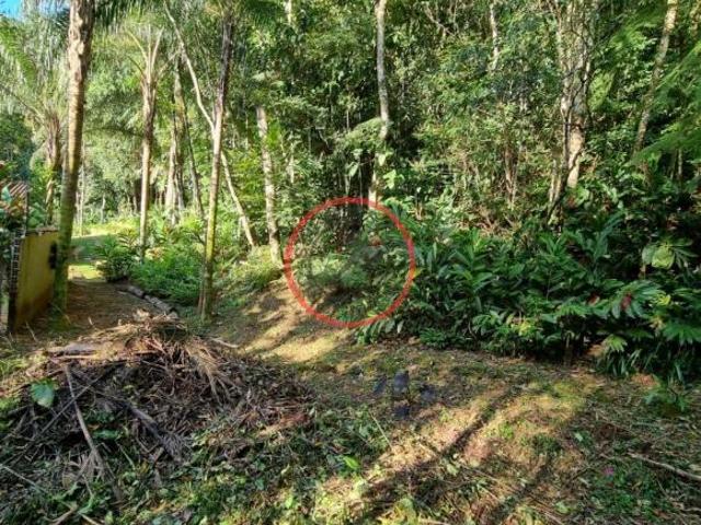 Lindo terreno na Beira Rio, com 1500 mt com patamar e area de preservaçao