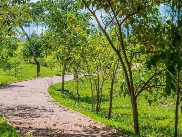 Lindo terreno à venda, 514 m² Condomínio Tamboré Jaguariúna Jaguariúna/SP
