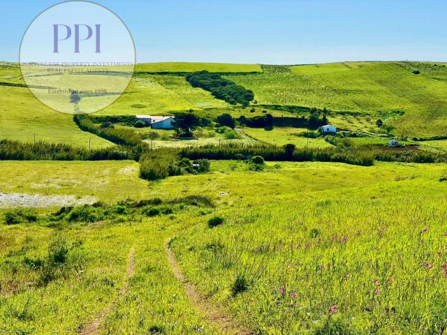 Lindo terreno com 18920 m2, poço com água e árvores de fruto