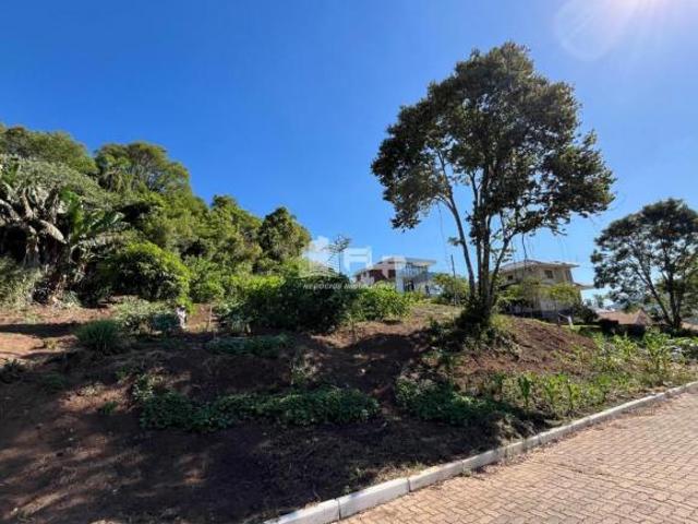 LINDO TERRENO DE ESQUINA NO LOTEAMENTO COLINA