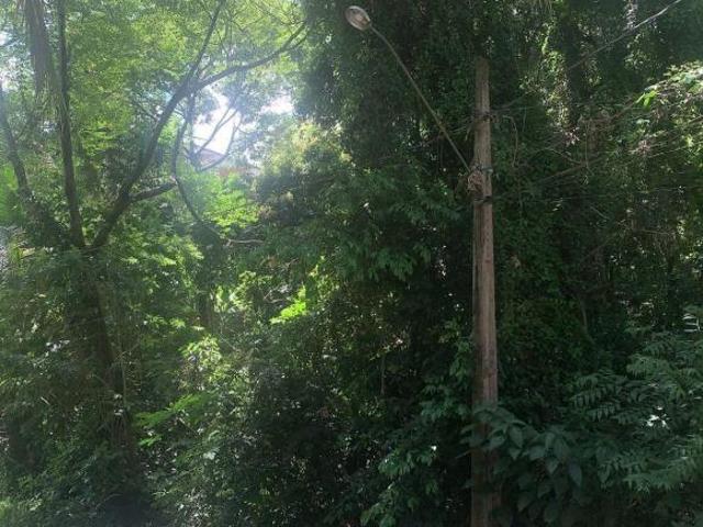 Lindo Terreno de 1014m² no Condomínio Amigos de Siriúba, Ilha Bela ? Viva o Paraíso à Beira Mar!