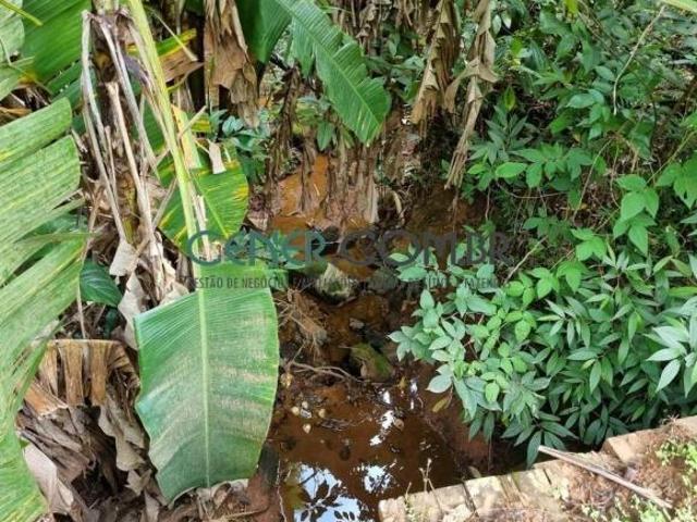 Lindo Terreno de 34 ha na encosta de Bela Serra em Queluzito MG