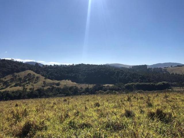 LINDO TERRENO 21.500m2 C/ ÁGUA CORRENTE E LUZ LIGADA EM ENTRE RIOS DE MINAS/MG