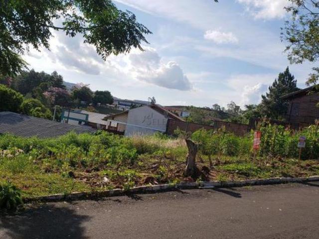 Lindo terreno