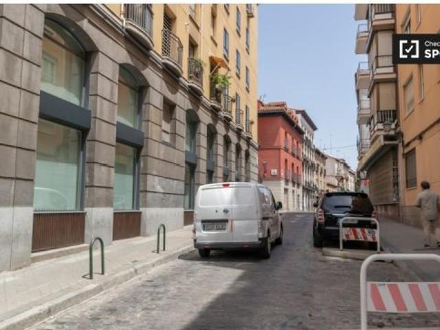 Lindo apartamento de 1 dormitorio en alquiler, cerca de El Rastro en La Latina