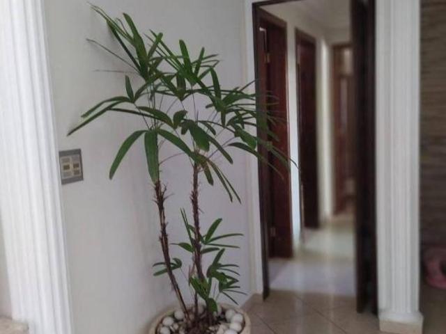 LINDO APARTAMENTO SAO CAETANO DO SUL SAO JOSE SÃO CAETANO DO SUL