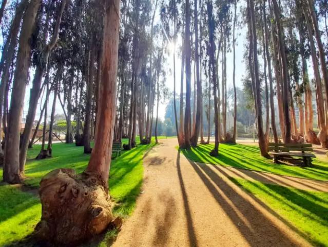 Lindo departamento 3D, 2B, 1E Rebajado! 3 dormitorios por 3290.00 en Algarrobo