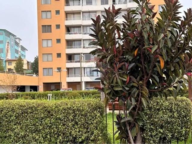 Lindo Departamento Amoblado