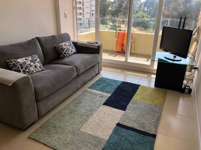 Lindo Departamento En Lomas De Papudo I, Punta Puyai