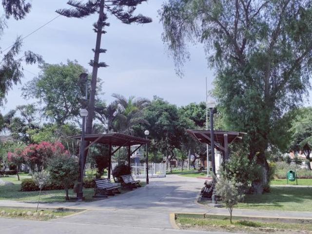 Lindo departamentos en san luissan borja
