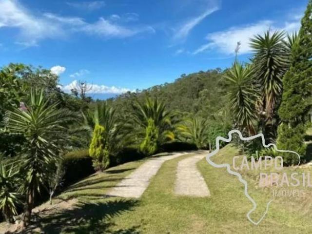 LINDO SÍTIO 40 HECTARES EM SILVEIRAS MG ! PORTEIRA FECHADA !