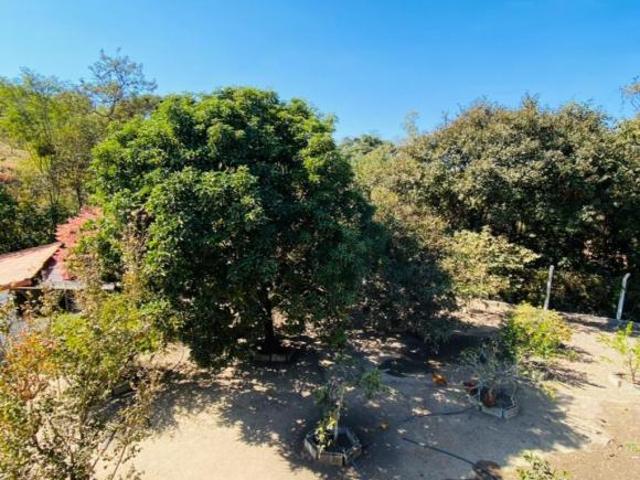 Lindo sítio 5.000m2 em Crucilandia/MG com muita água e uma belíssima estrutura de lazer