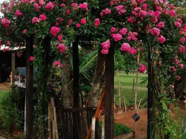 Lindo Sitio