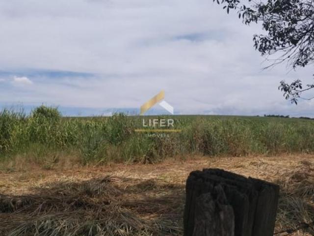 LINDO SITIO A VENDA EM CAPIVARI /SP