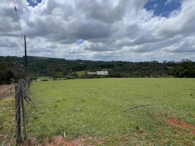 Lindo sítio com preço de oportunidade