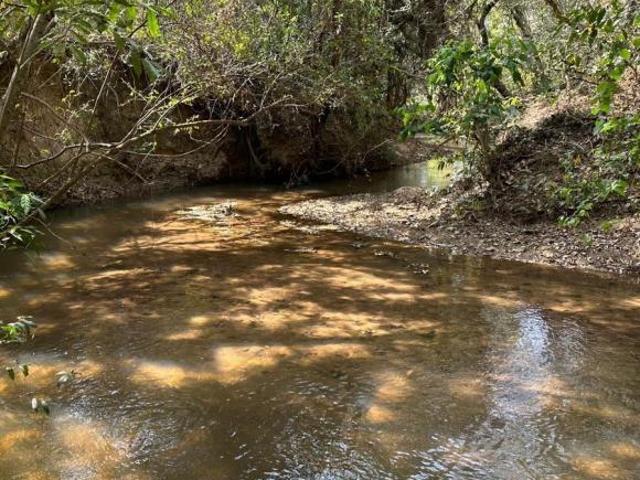 LINDO SÍTIO DE 43.000m² C/ NASCENTE E LAGOA GRANDE À VENDA EM CARMÓPOLIS/MG