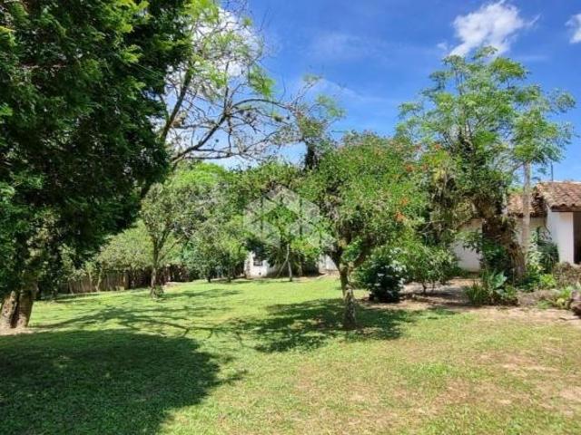 LINDO SÍTIO DE 26 HECTARES, KM 40 VIAMÃO