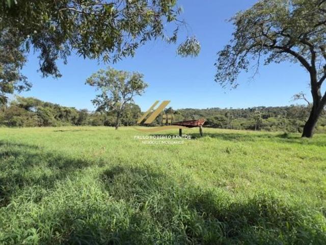 Lindo Sítio em Tanabi SP: 120.000m² de área plana, água corrente, todo arborizado e imóvel com 1 qua