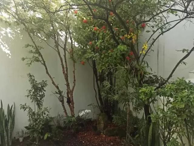 Lindo sobrado mobiliado com 200mts² tendo 5 dorms e 4 suítes em Vila Monumento SP