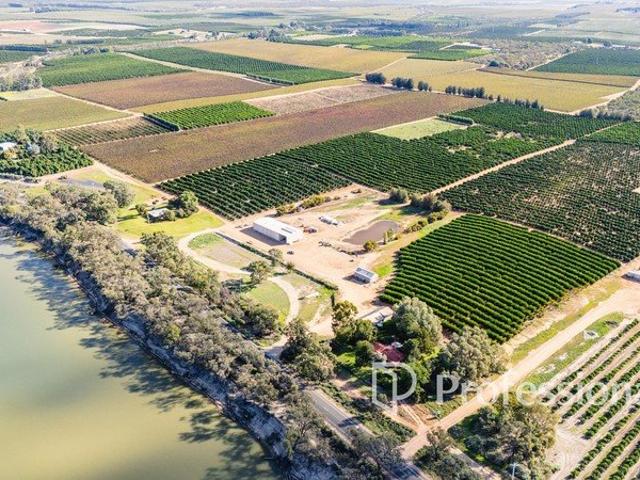 Liberty Grove Mixed Citrus Holdings 124.58Ha 307.8 Acres