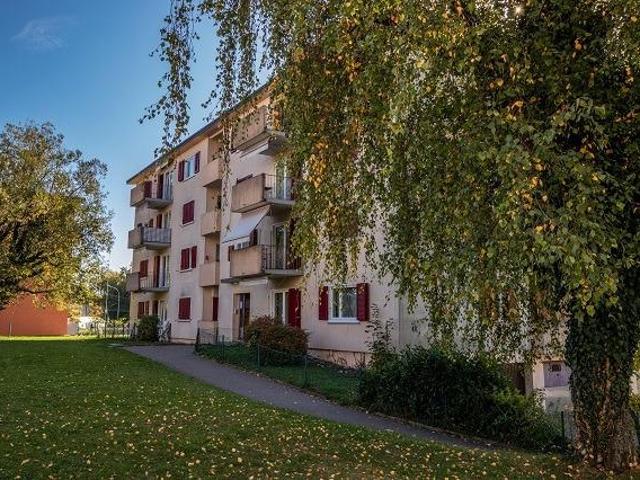 Libre de suite