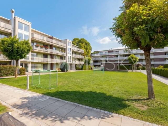 Licht und Sonne: Attraktive Wohnung mit zwei Sitzplätzen