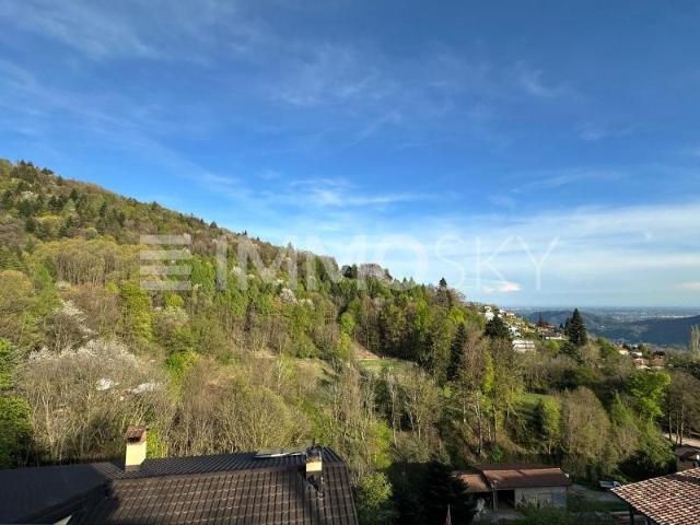 Licht, Raum und Natur