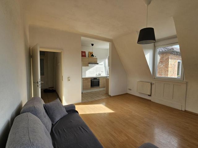 Lichtblick über Cannstatt: Stilvolle Jugendstil Wohnung am Kurpark mit Neckartal Aussicht