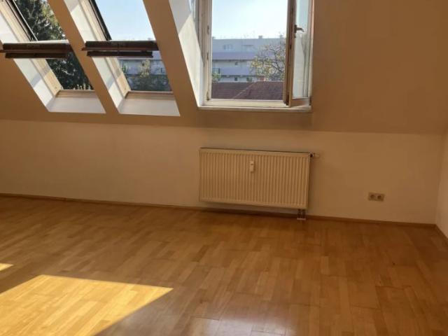 Lichtdurchflutete 1 Zimmer Wohnung in Liebenau