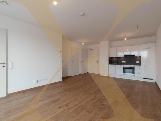 Lichtdurchflutete 2 Zimmer Wohnung mit moderner Küche und Wintergarten in Linz nähe WIFI zu vermieten!