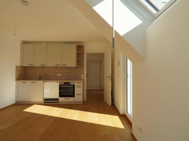 Lichtdurchflutete 2 Zimmer Dachgeschosswohnung mit 2 Balkonen – 1 Min. zur Alten Donau