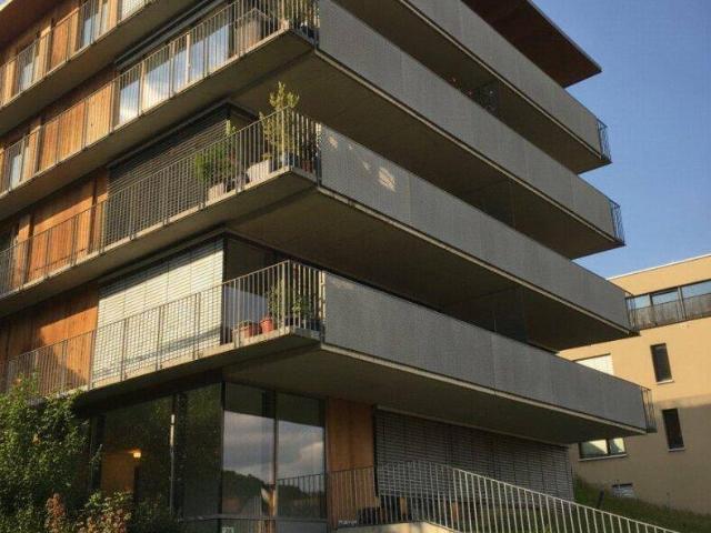 Lichtdurchflutete 3 Zimmer Terrassenwohnung zu vermieten!