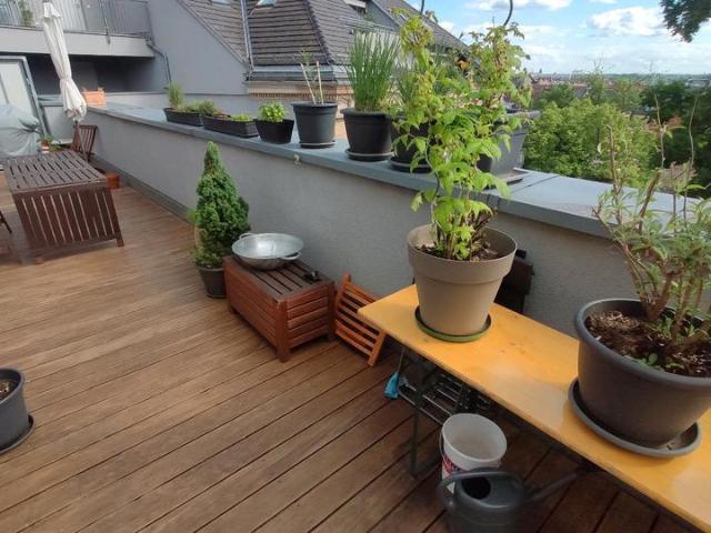Lichtdurchflutete 3 Zimmer Wohnung mit Dachterrasse Kapitalanlage