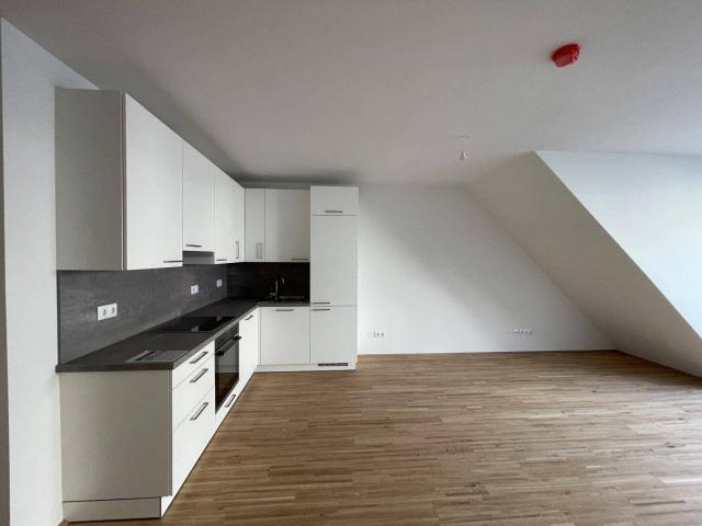 lichtdurchflutete 3 Zimmer Wohnung in ruhiger Lage *ALF 24* PROVISIONSFREI