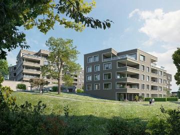 Lichtdurchflutete 3.5 Zimmerwohnung in der Überbauung «Neualtwil»