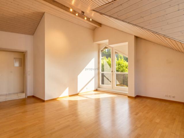 Lichtdurchflutete Wohnung in Buchs