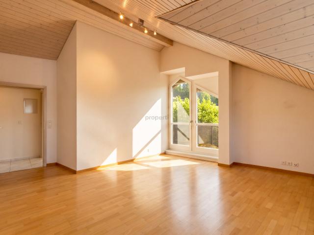 Lichtdurchflutete Wohnung in Buchs