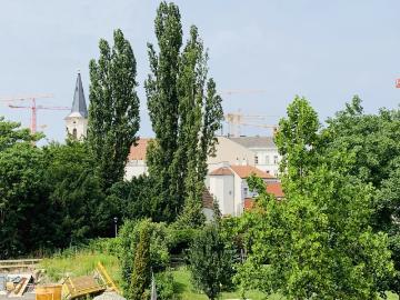 lichtdurchflutetes Dachgeschoss mit Charme und Freifläche | ZELLMANN IMMOBILIEN