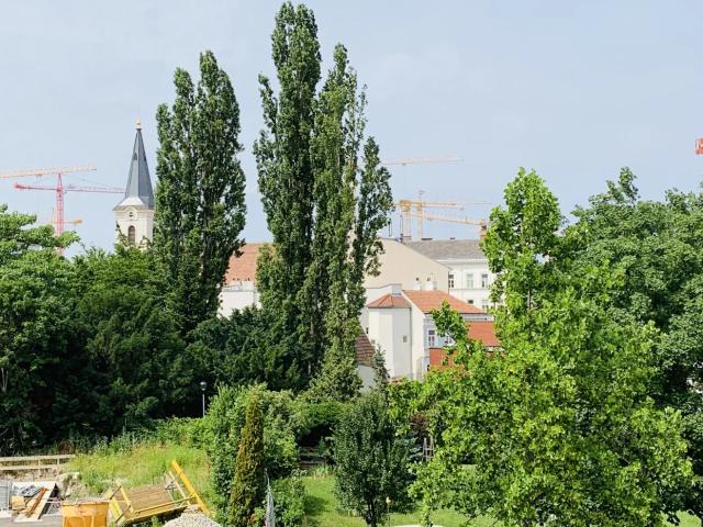 lichtdurchflutetes Dachgeschoss mit Charme und Freifläche | ZELLMANN IMMOBILIEN
